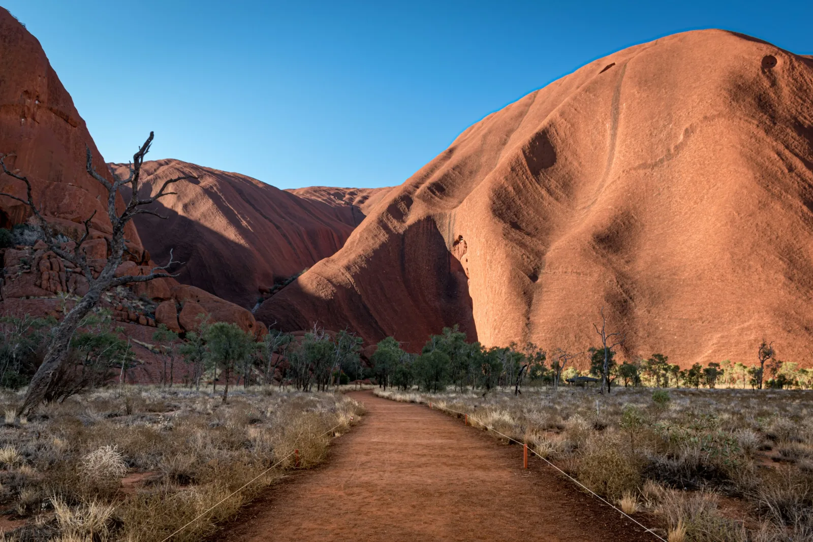 Red Centre: Uluru, Kata Tjuta & Kings Canyon
