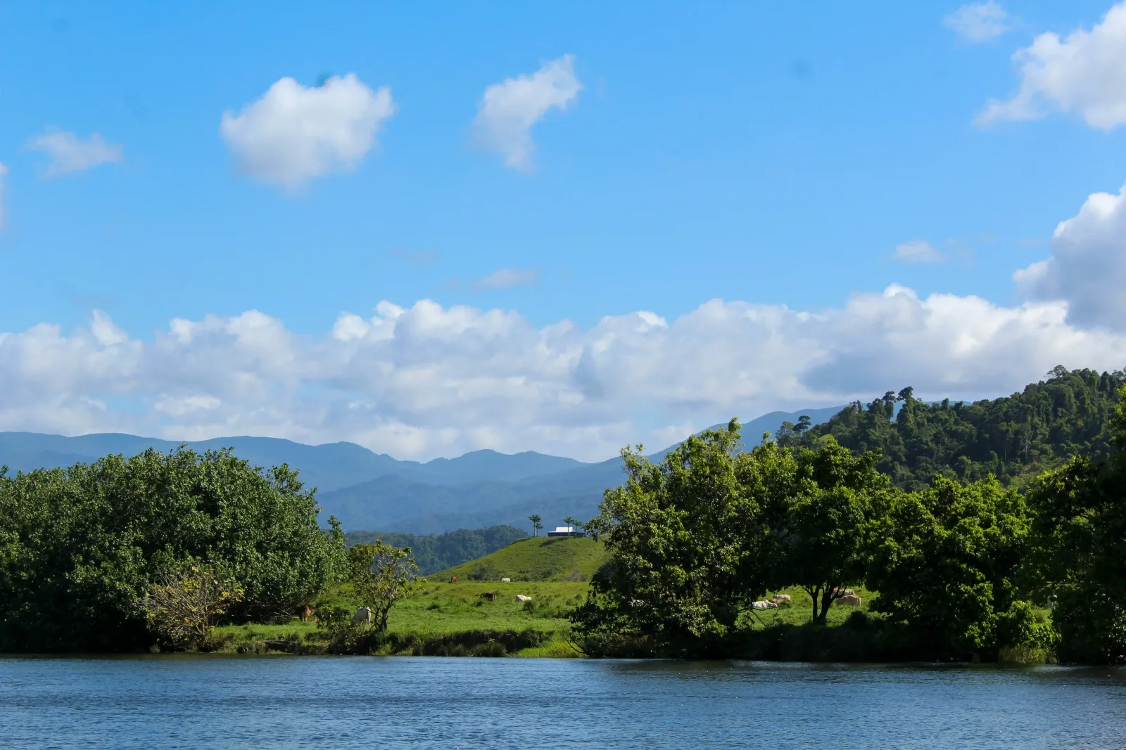 Silky Oaks & the Great Barrier Reef Luxury