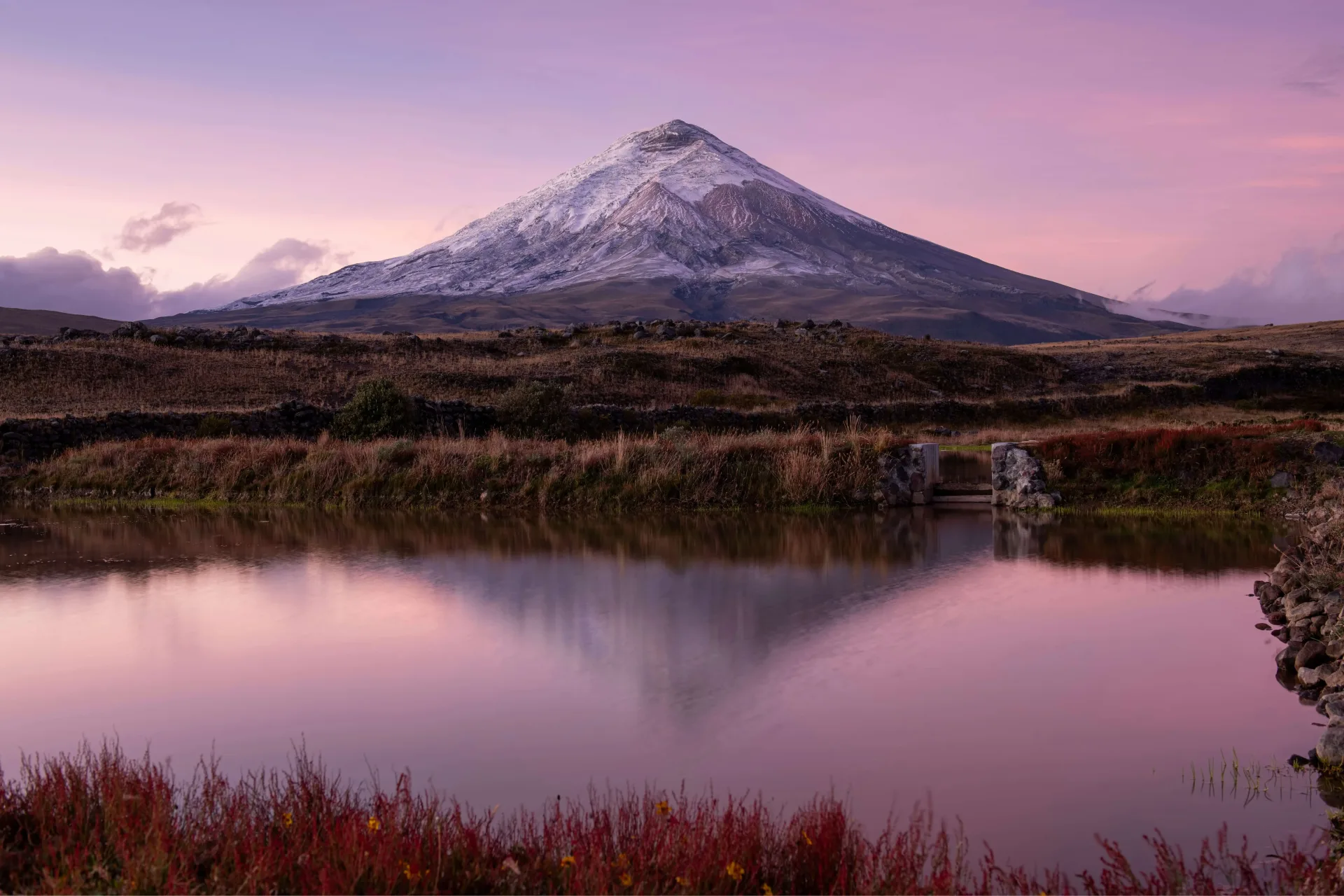 Ecuador Andes & Amazon