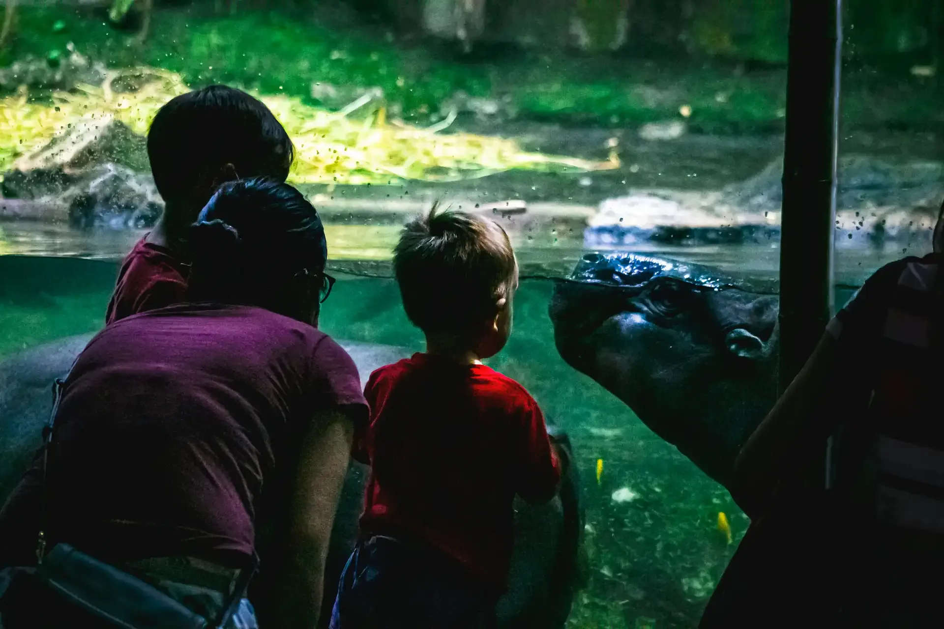 Singapore Family Fun