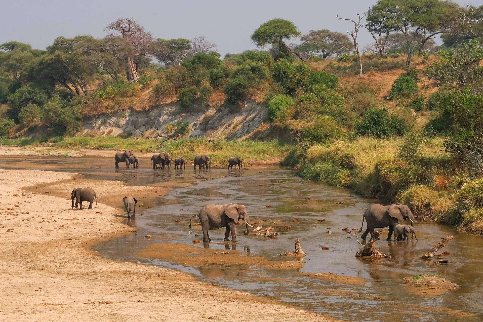 Highlights of Tanzania: Tarangire, Serengeti & Ngorongoro
