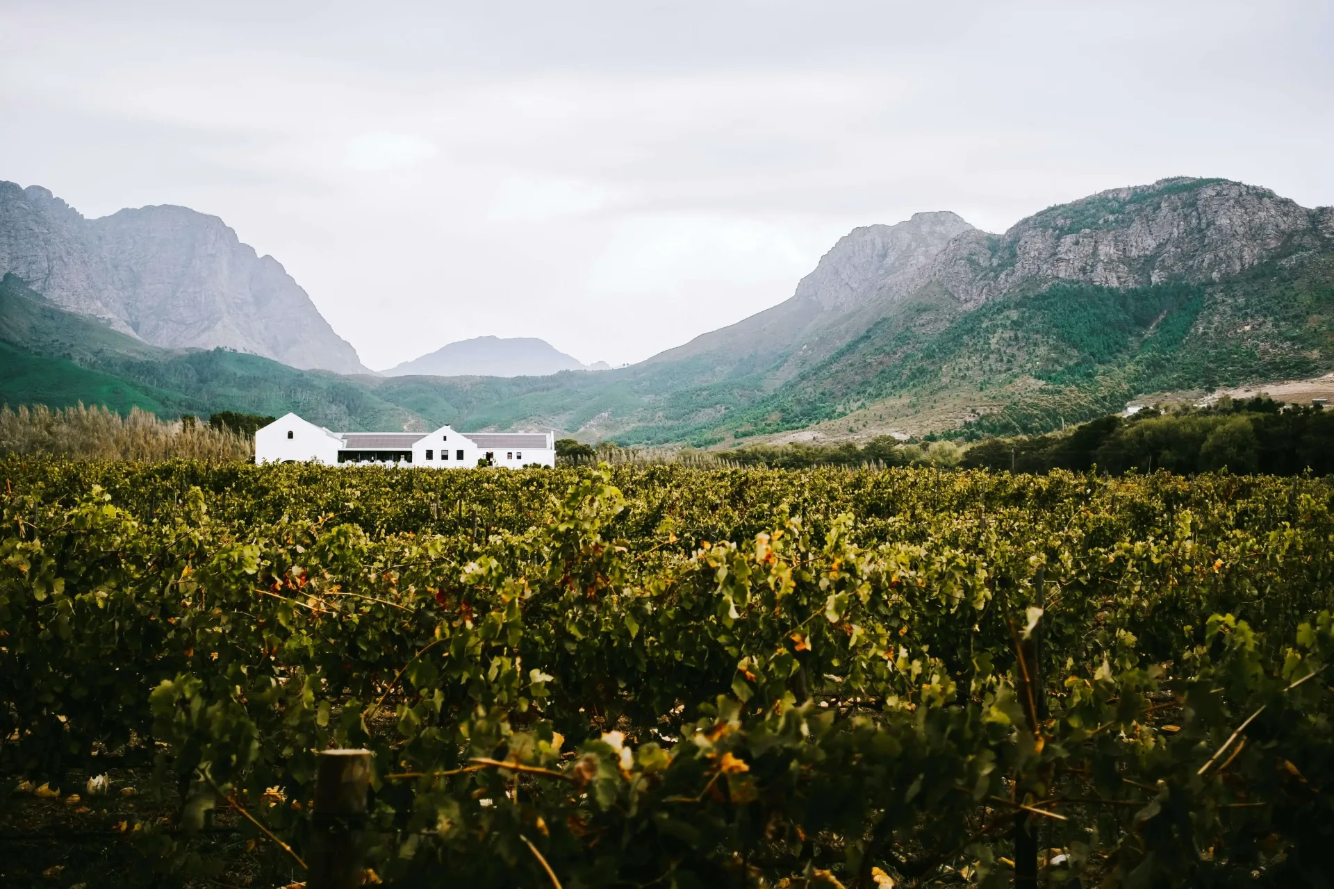 Cape Town & the Cape Winelands