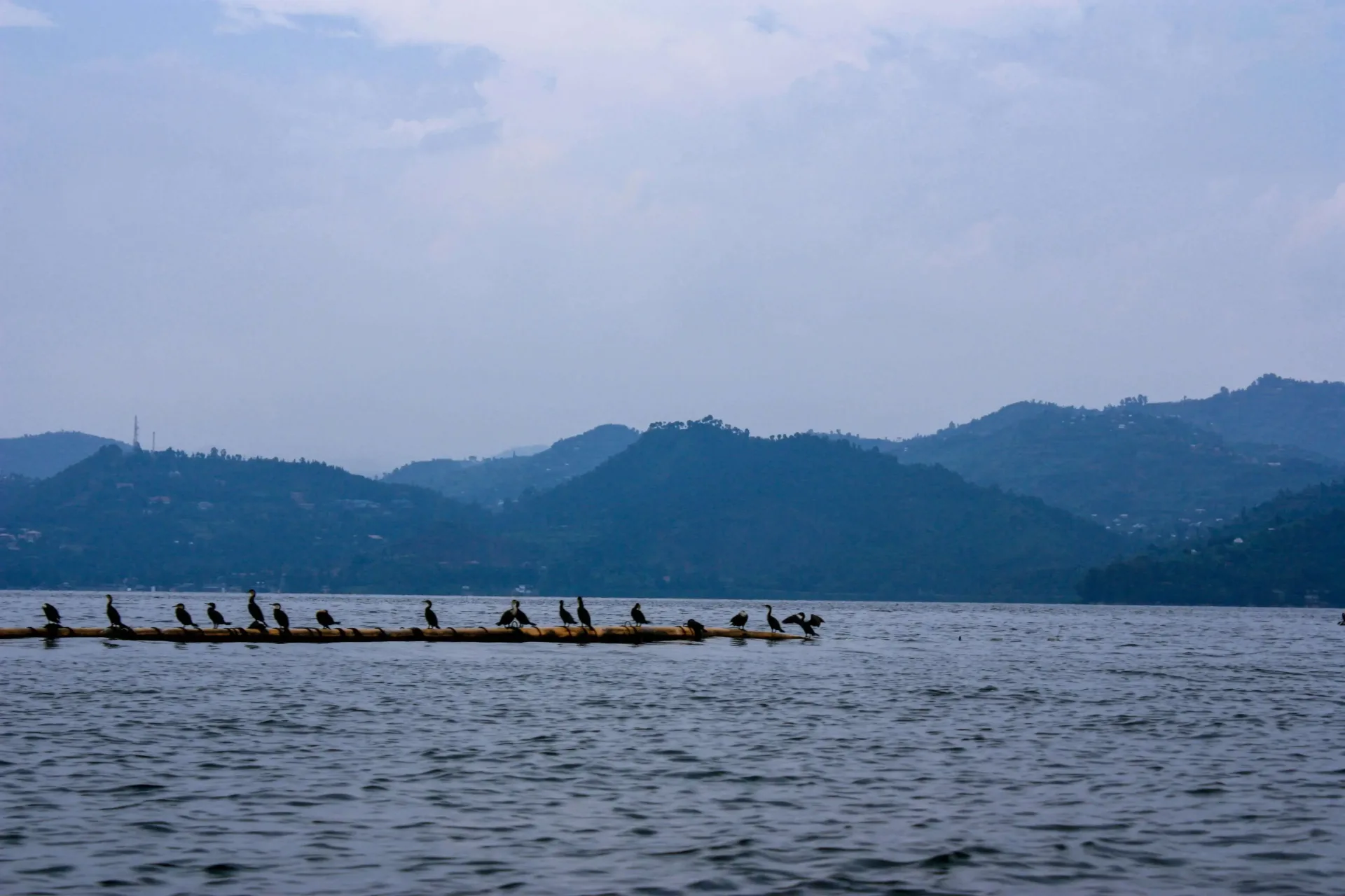 Rwanda Culture: Kigali, Communities & Gorillas