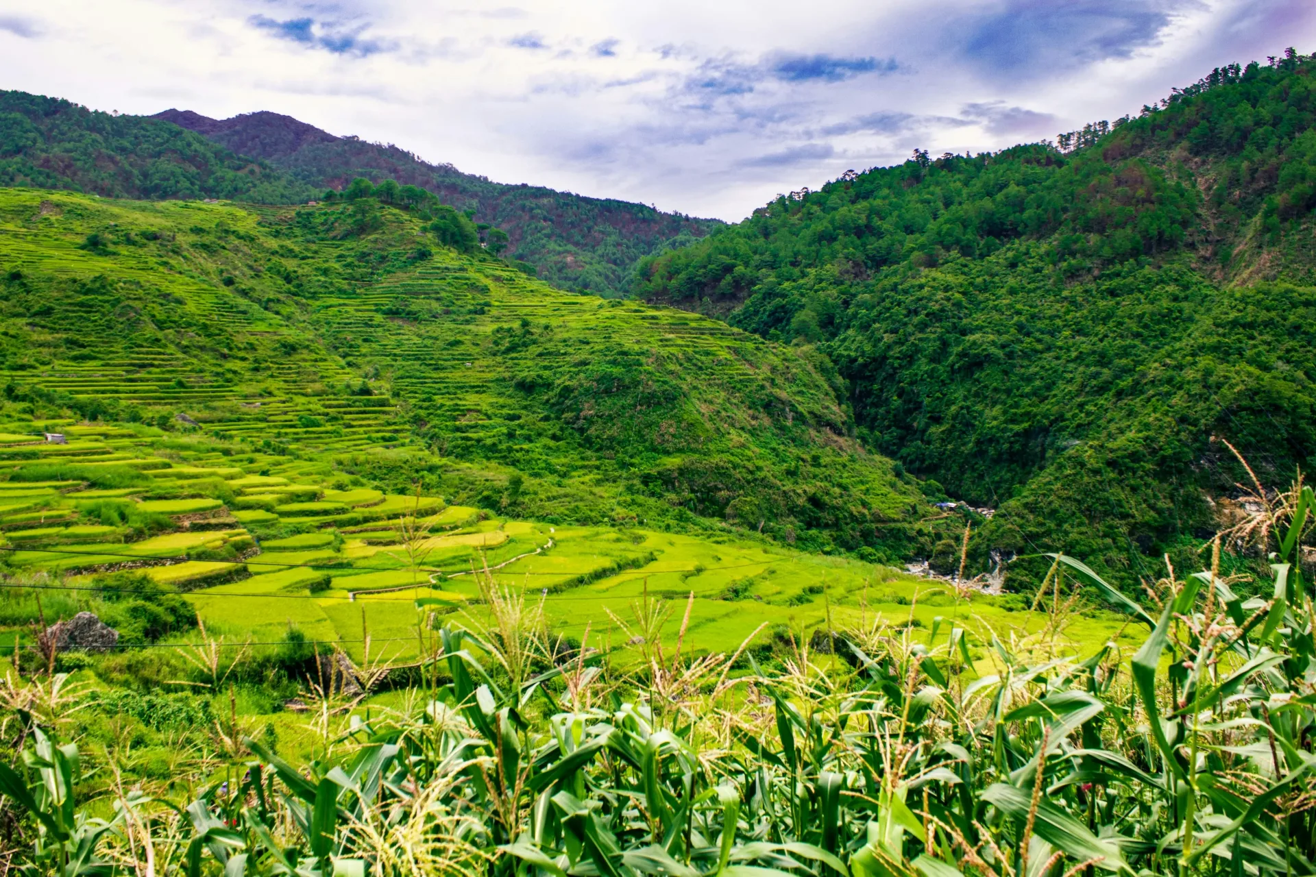 Banaue Rice Terraces & Northern Luzon