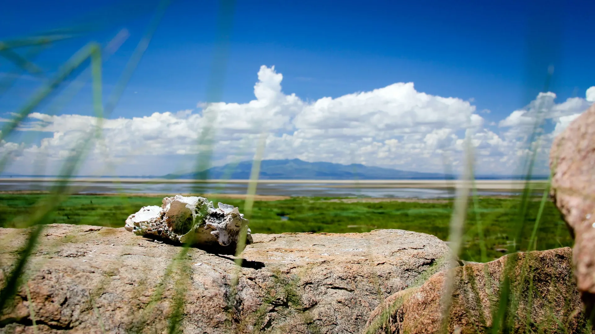 Ngorongoro & the Crater Highlands: Caldera, Lakes & Maasai