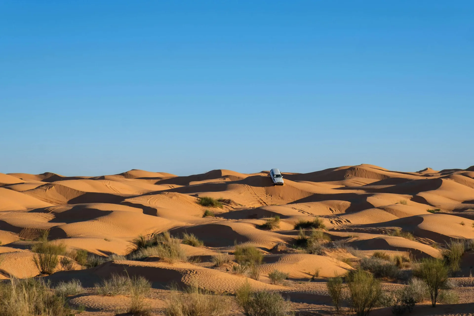 Sahara & Oases Adventure: Douz, Ksar Ghilane & Tozeur
