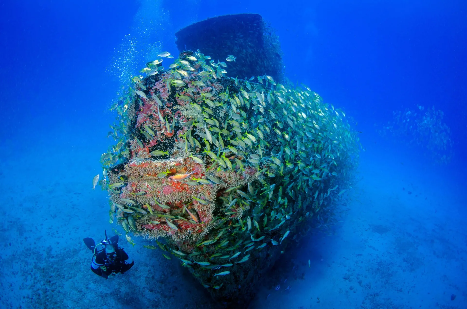 Grand Palau: Reefs, Rock Islands, Culture & History