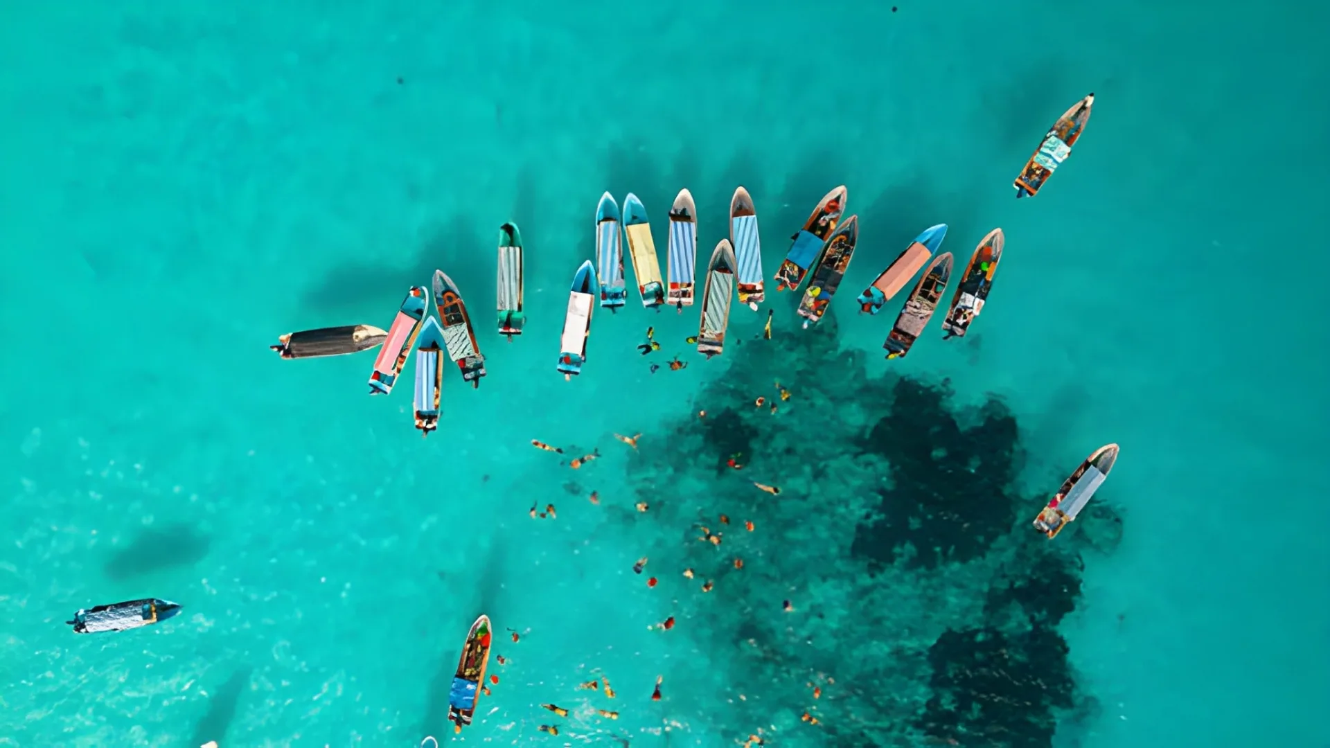 Zanzibar Dhow & Island Cruises: Sandbanks & Reefs