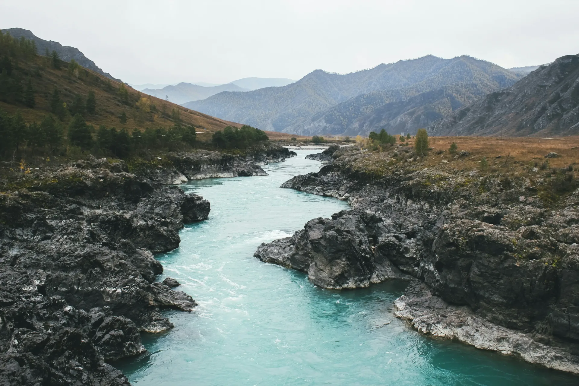 Eagle Hunters of the Altai
