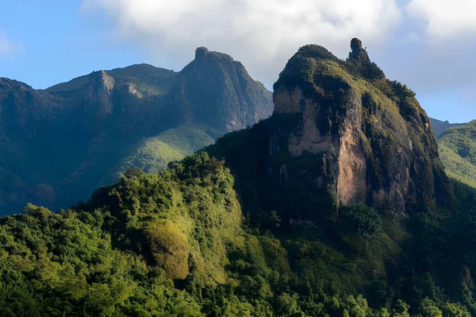 Bale Mountains & the Ethiopian Wolf