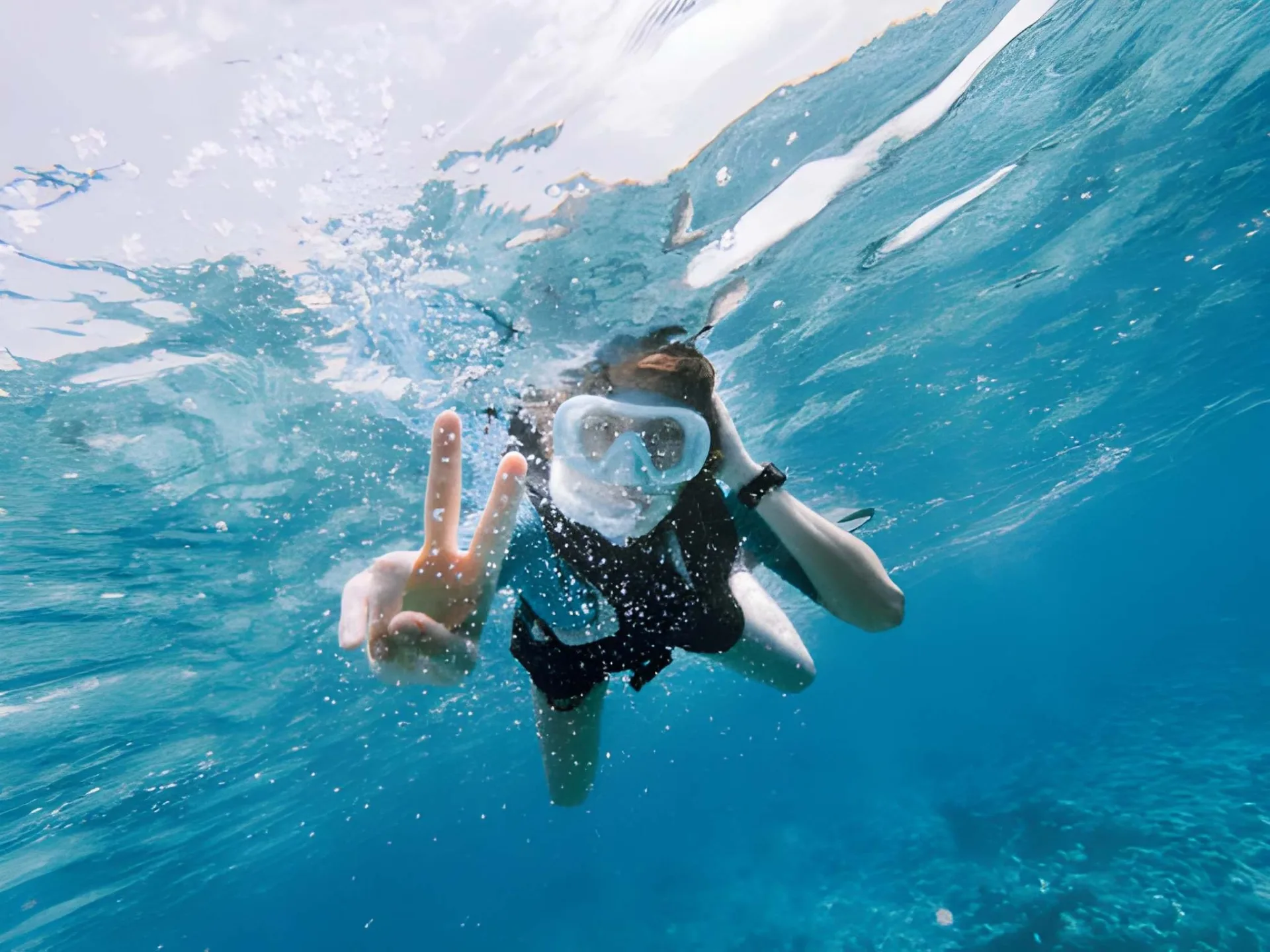Zanzibar Diving & Snorkelling: Mnemba, Reefs & Dolphins