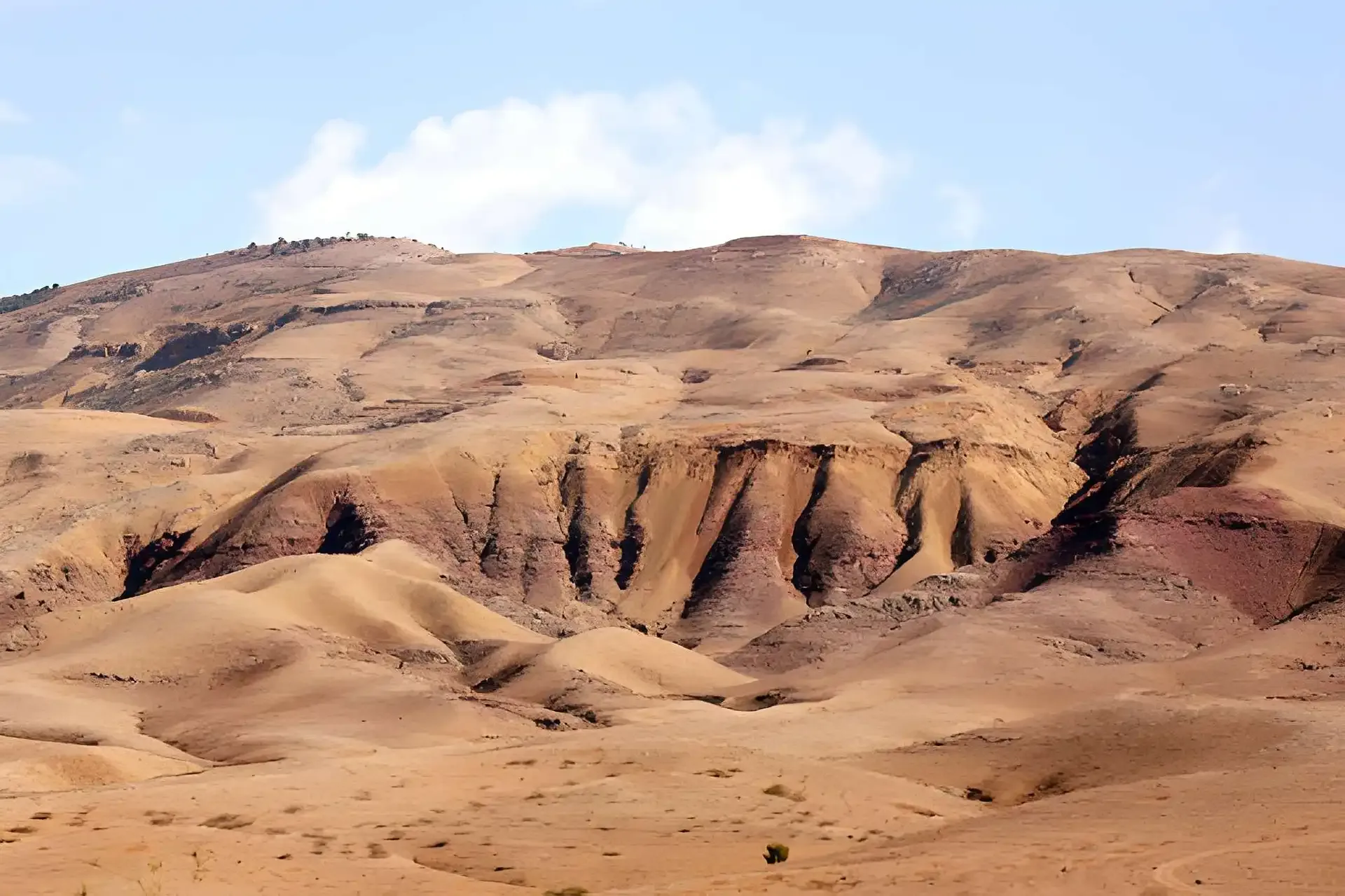 Jordan & the Holy Sites: Mosaics, Mount Nebo & the Baptism Site