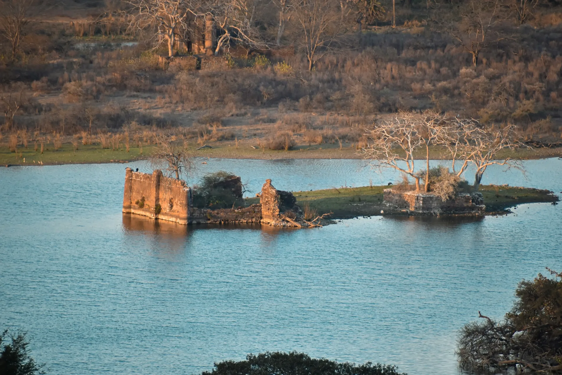 Golden Triangle & Ranthambore Tiger Safari