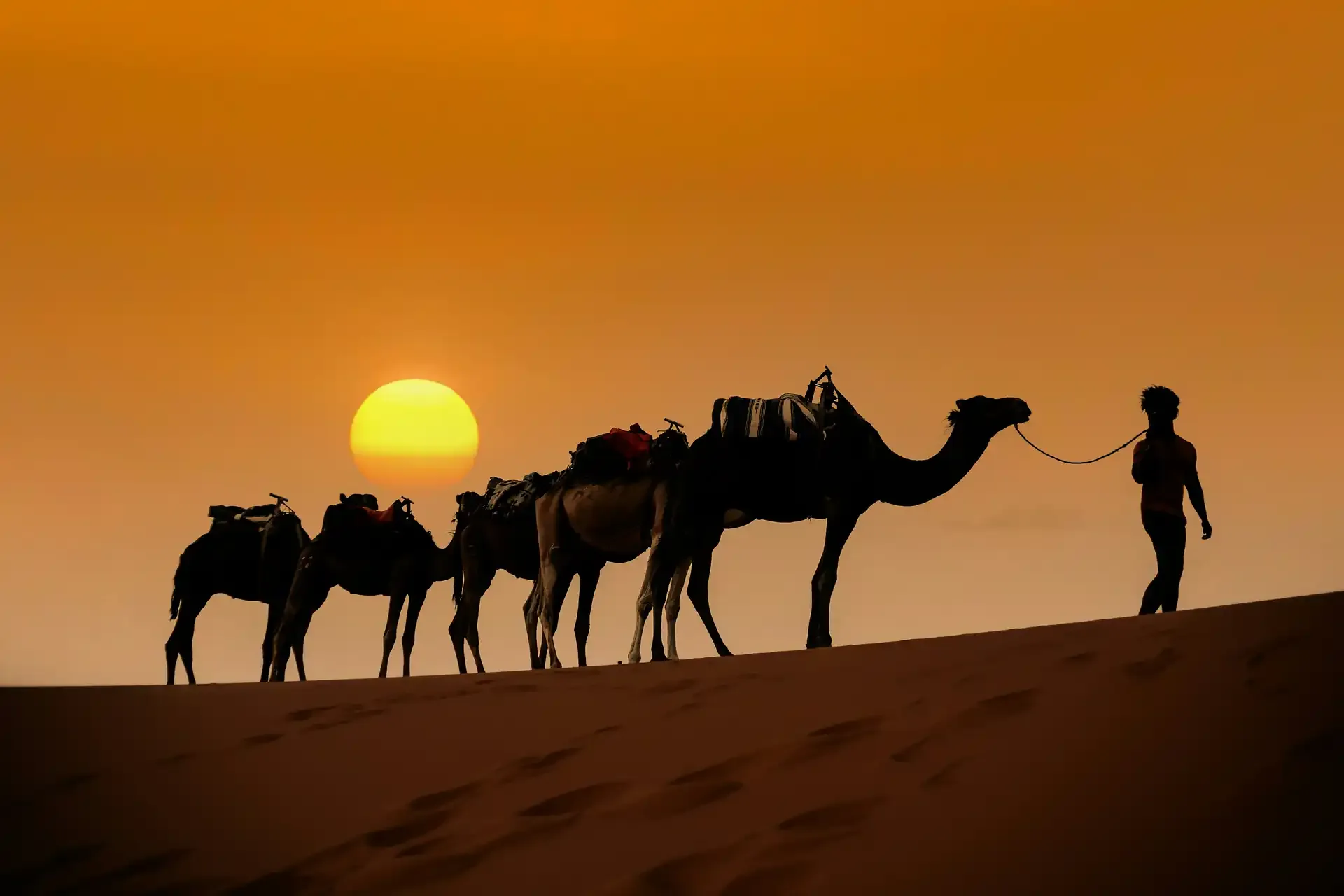 Sahara & Atlas Adventure: Toubkal, Gorges & Golden Dunes