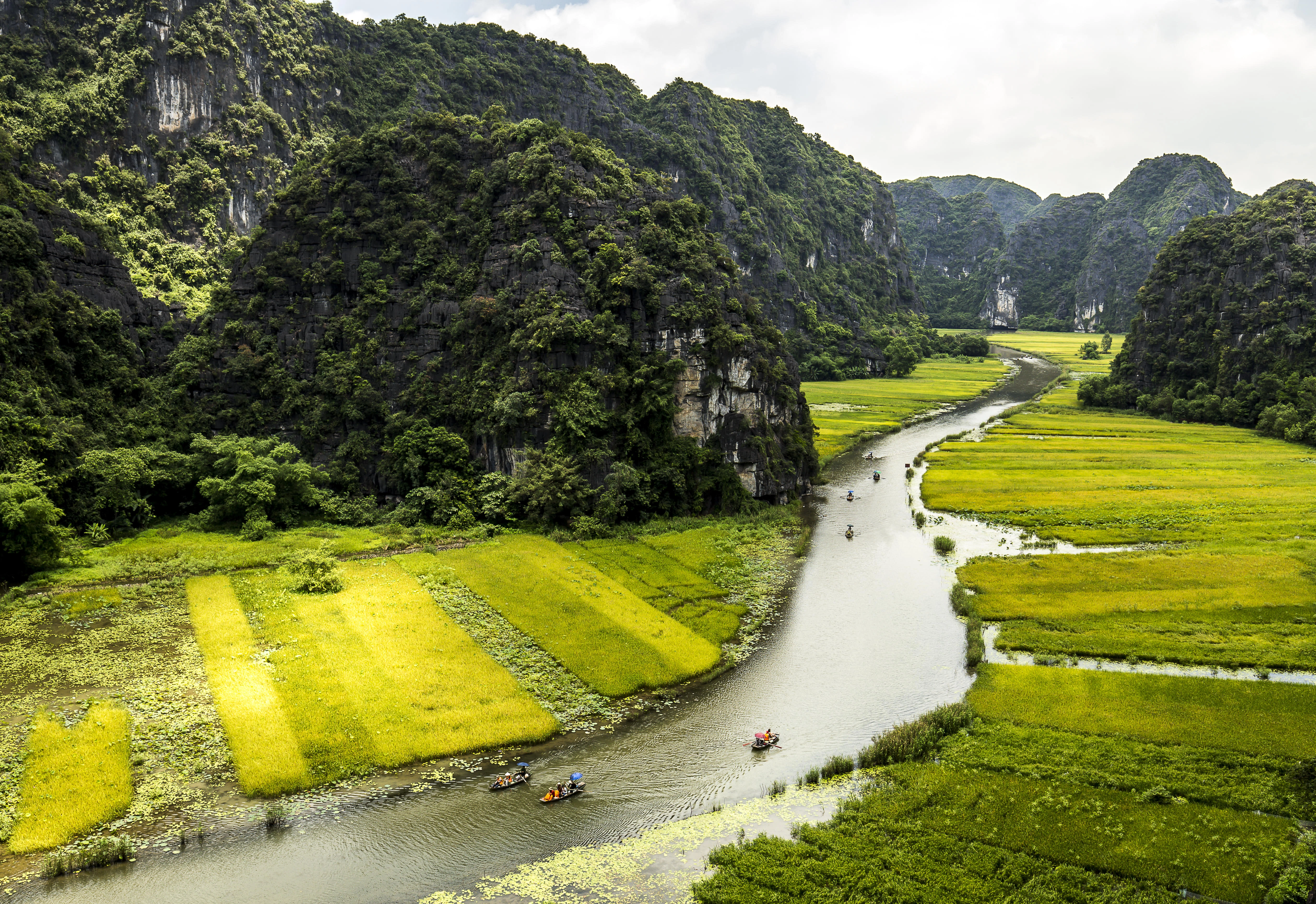 Northern Wonders & Island Escape: 8 Days Vietnam Highlights