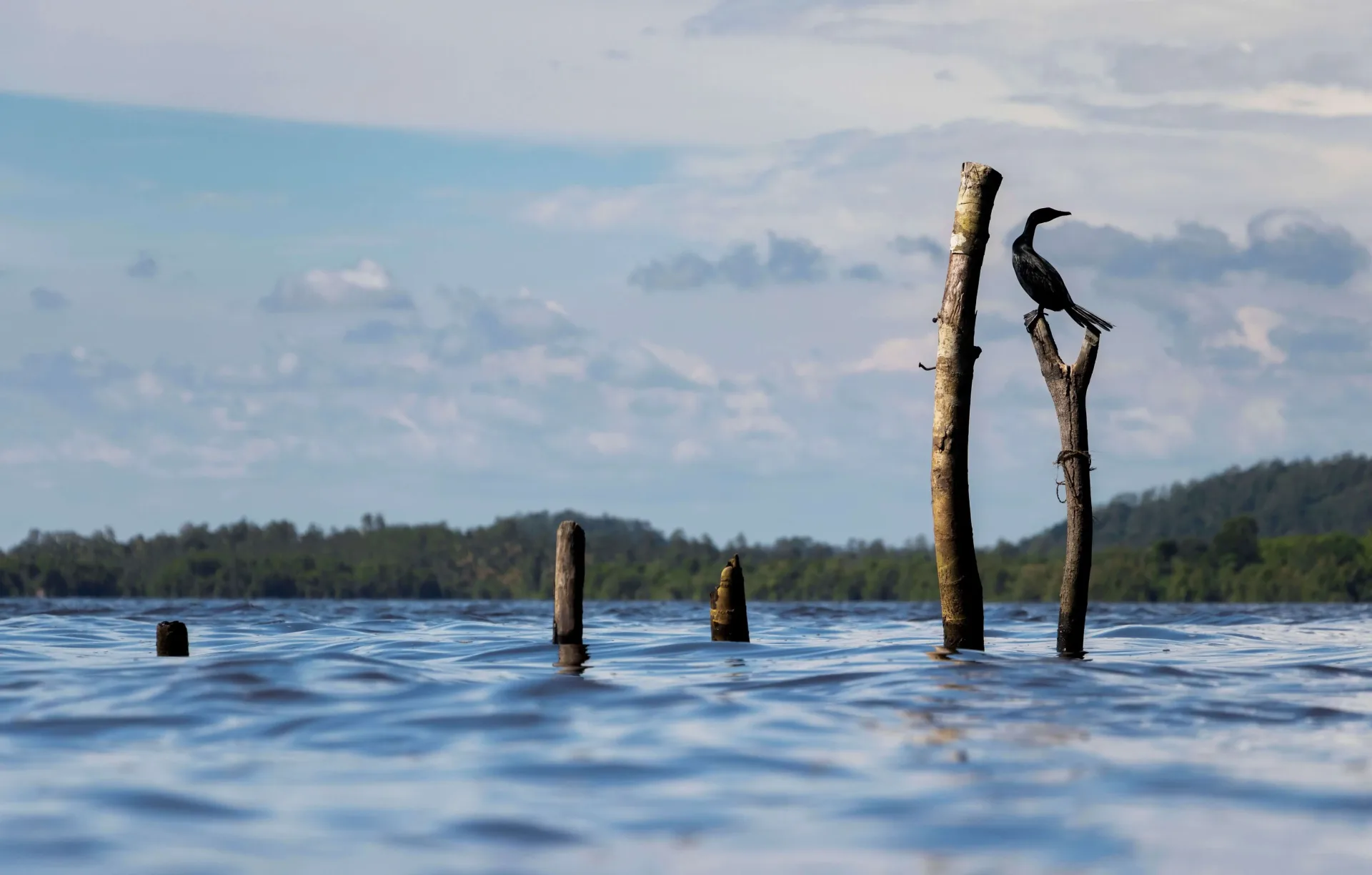 Palau Honeymoon: Rock Islands & Hidden Lagoons