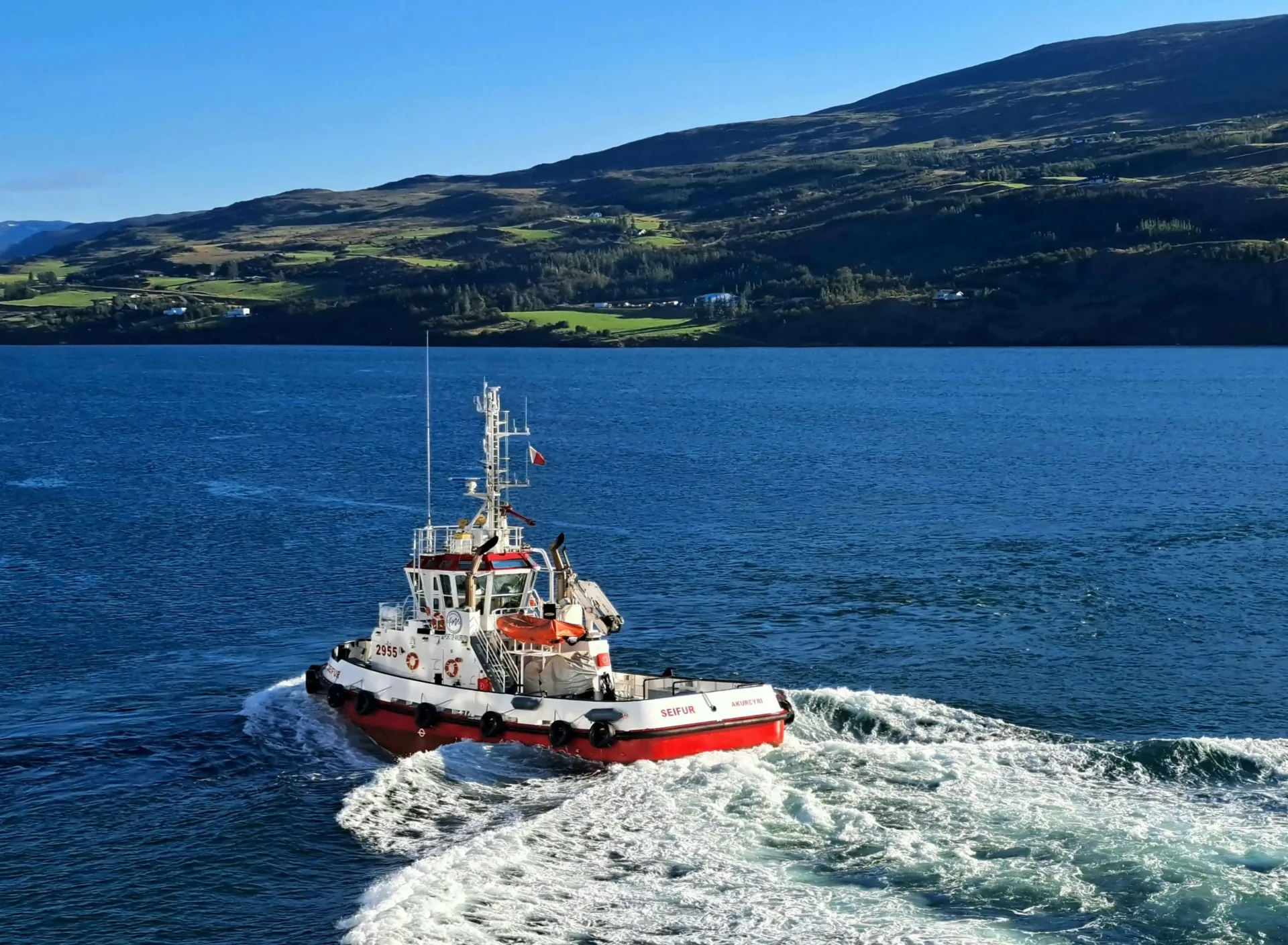 Iceland Wildlife: Whales, Puffins & the Geothermal North