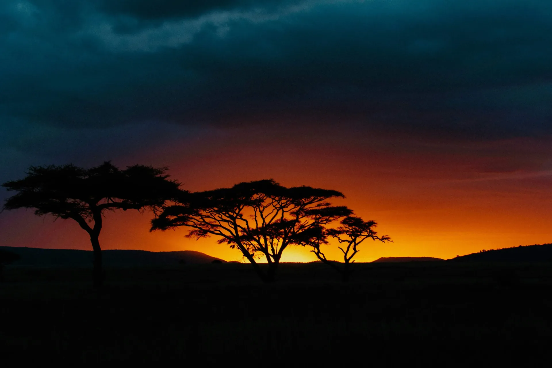 Tanzania Family Safari: Baobabs, Plains & the Crater