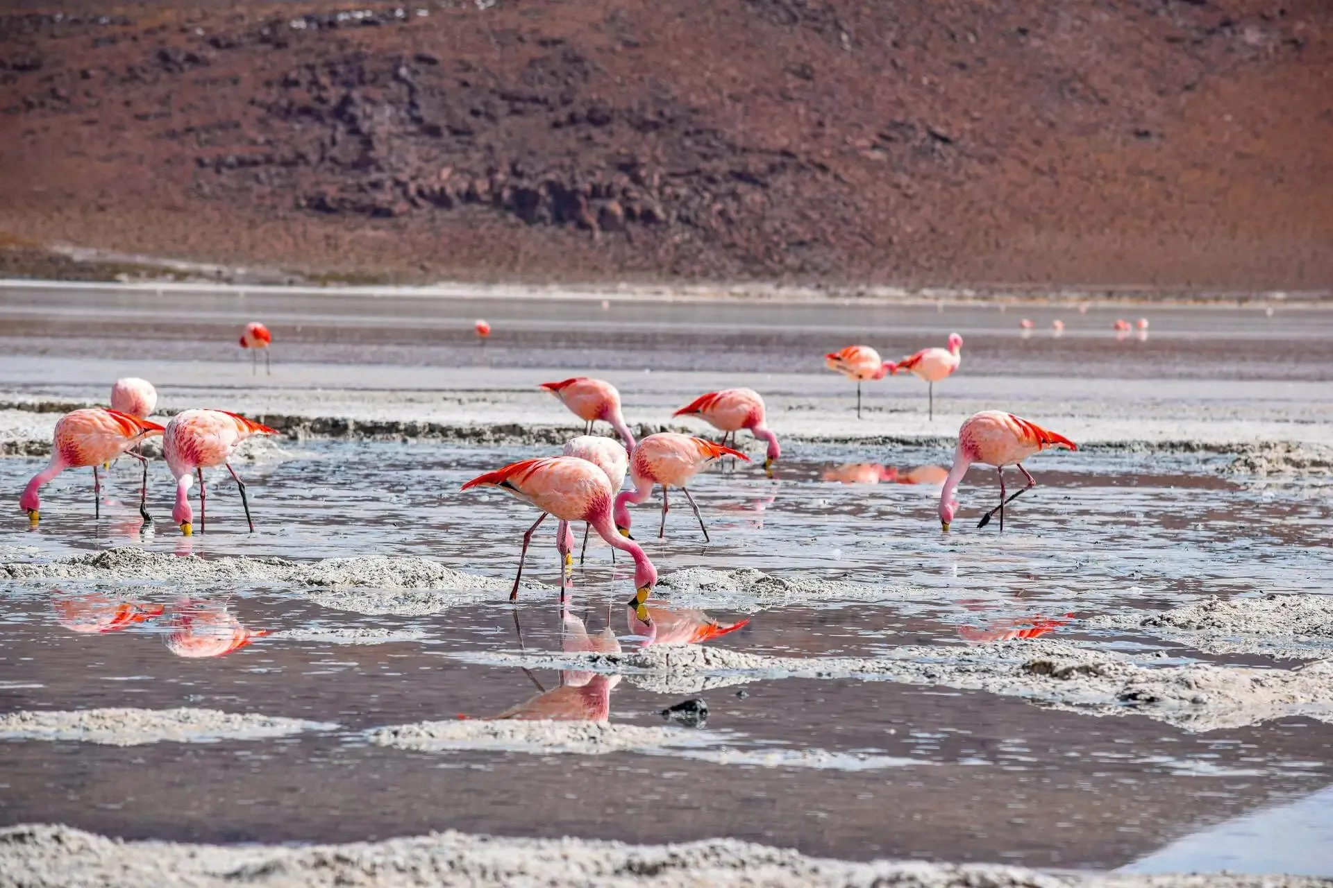 Uyuni Salt Flats & Southwest Bolivia