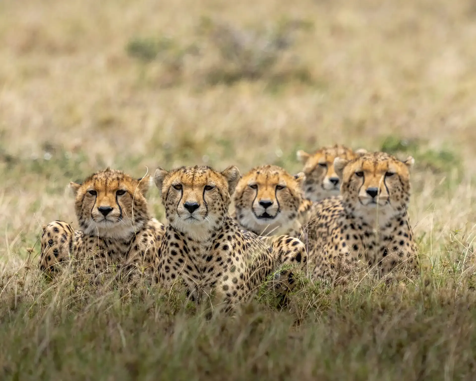 Kenya Family Safari: Nairobi, Amboseli, the Lakes & the Mara