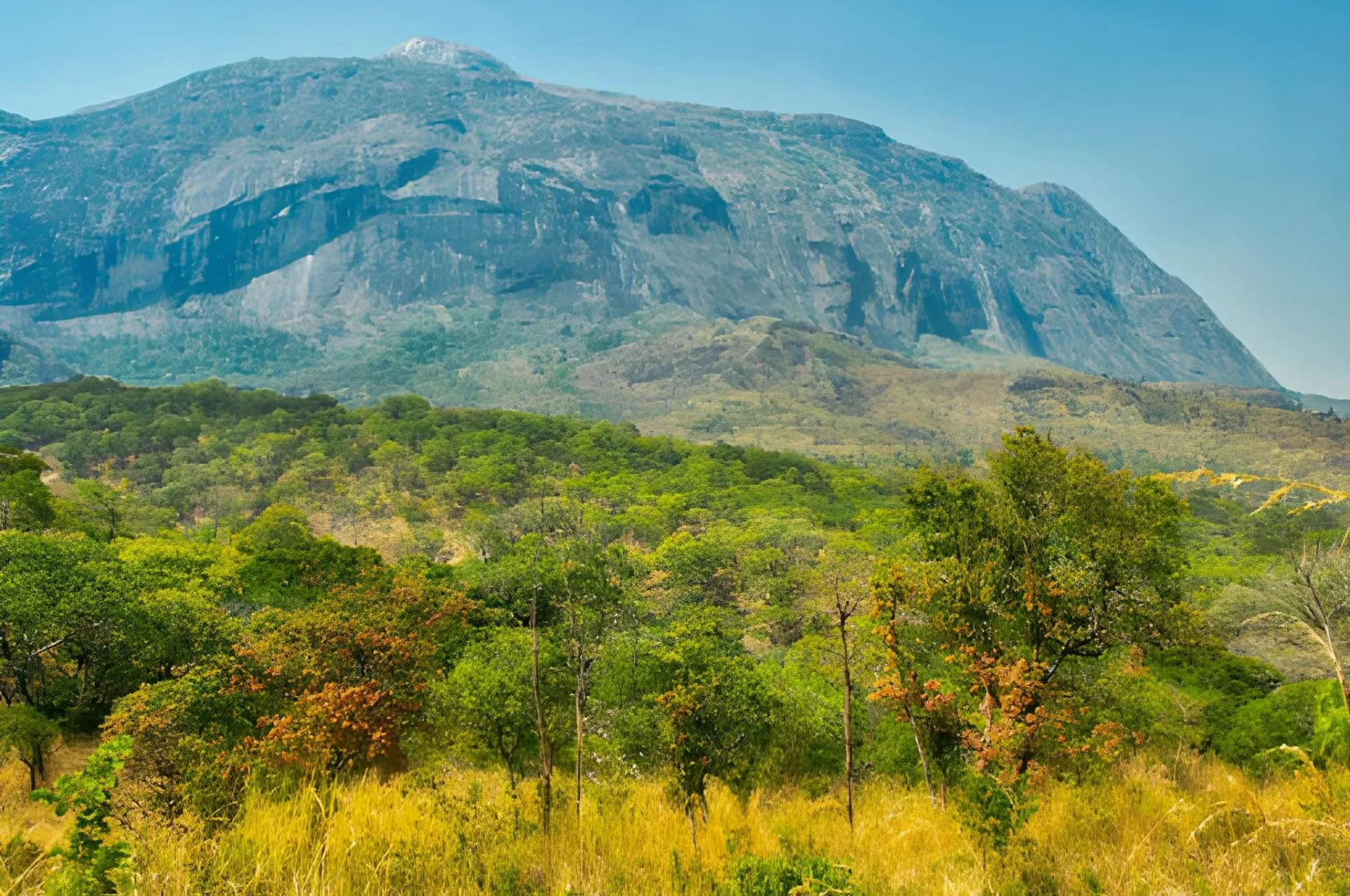 Highlands of Malawi: Nyika, Zomba & Mount Mulanje Trek