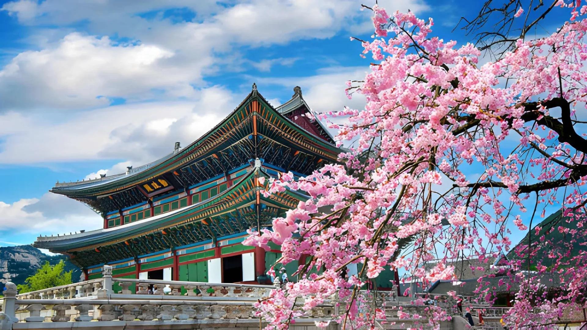Luxury South Korea: Private Seoul, Gyeongju & Jeju