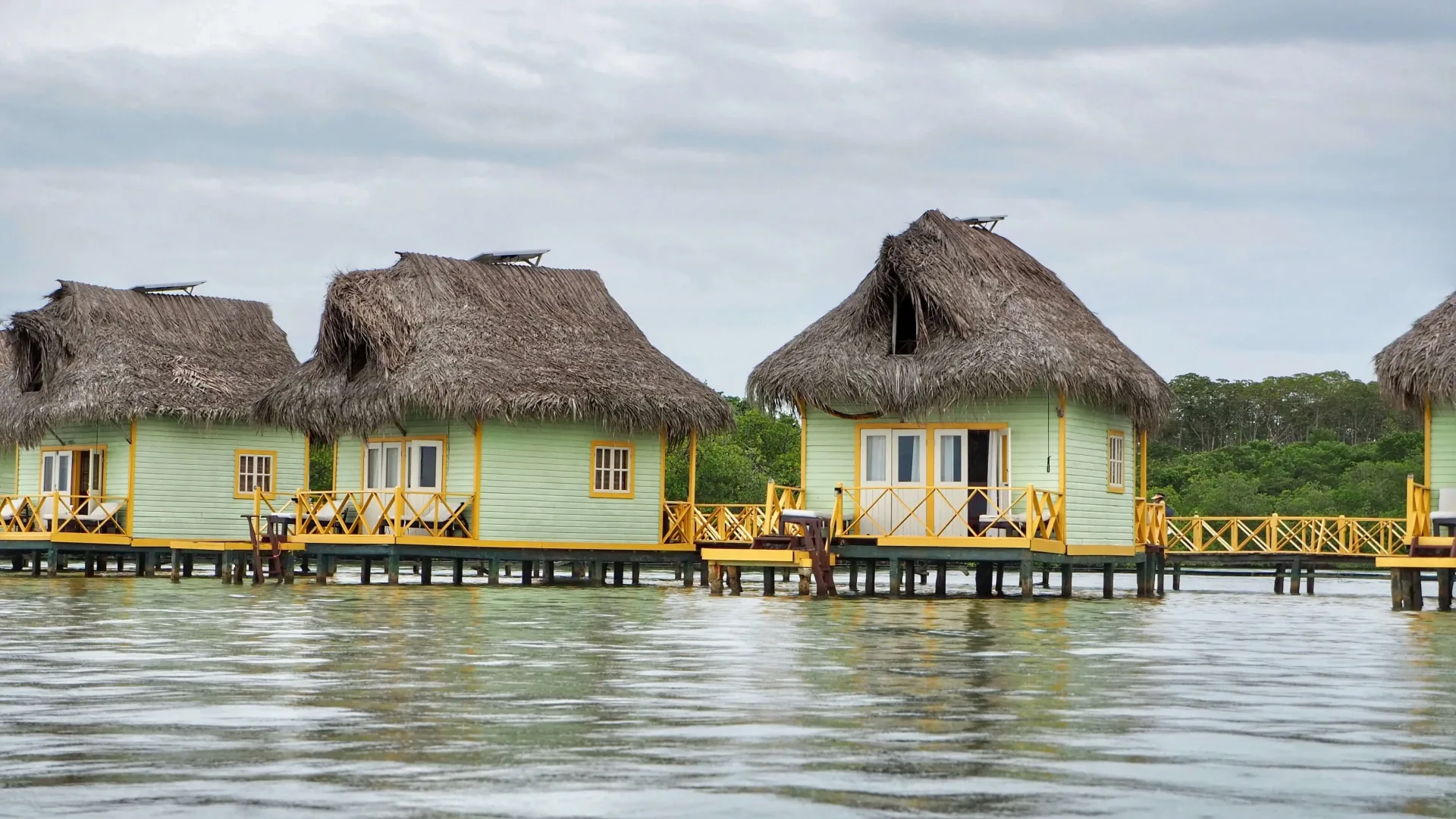 Bocas del Toro: Caribbean Beaches, Reefs & Rainforest