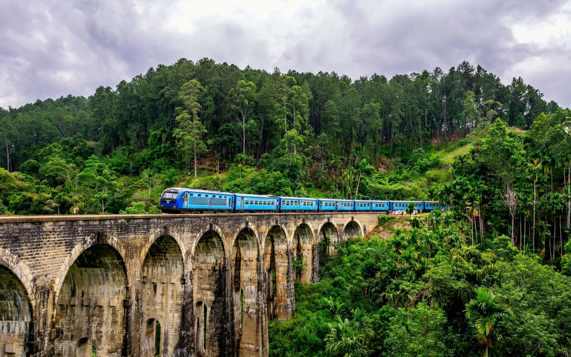 Sri Lanka Highlights: Culture, Tea & Beach