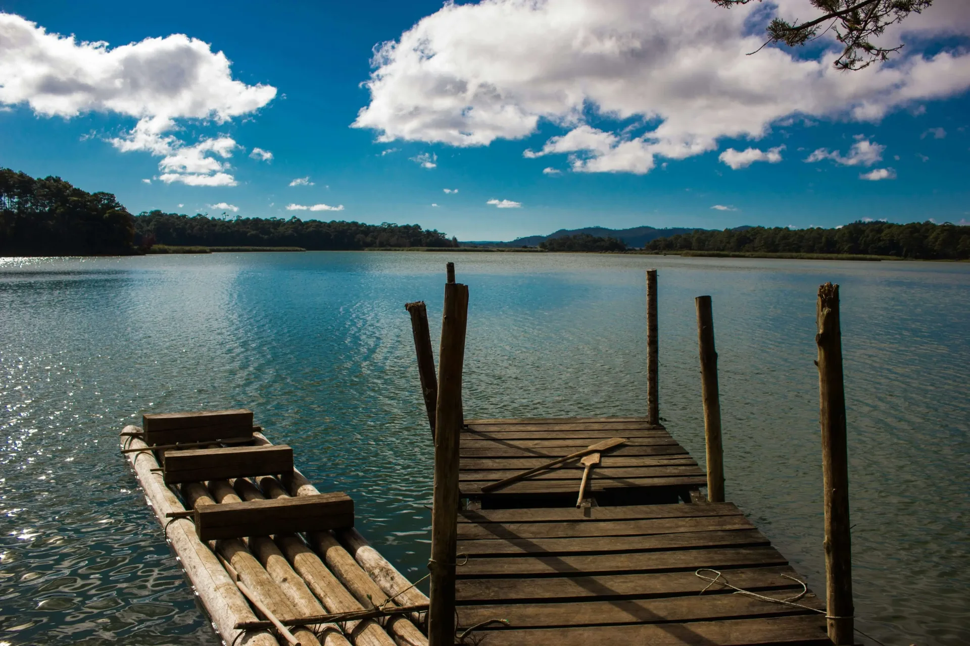 Oaxaca & Chiapas: Crafts, Cuisine & Jungle Ruins
