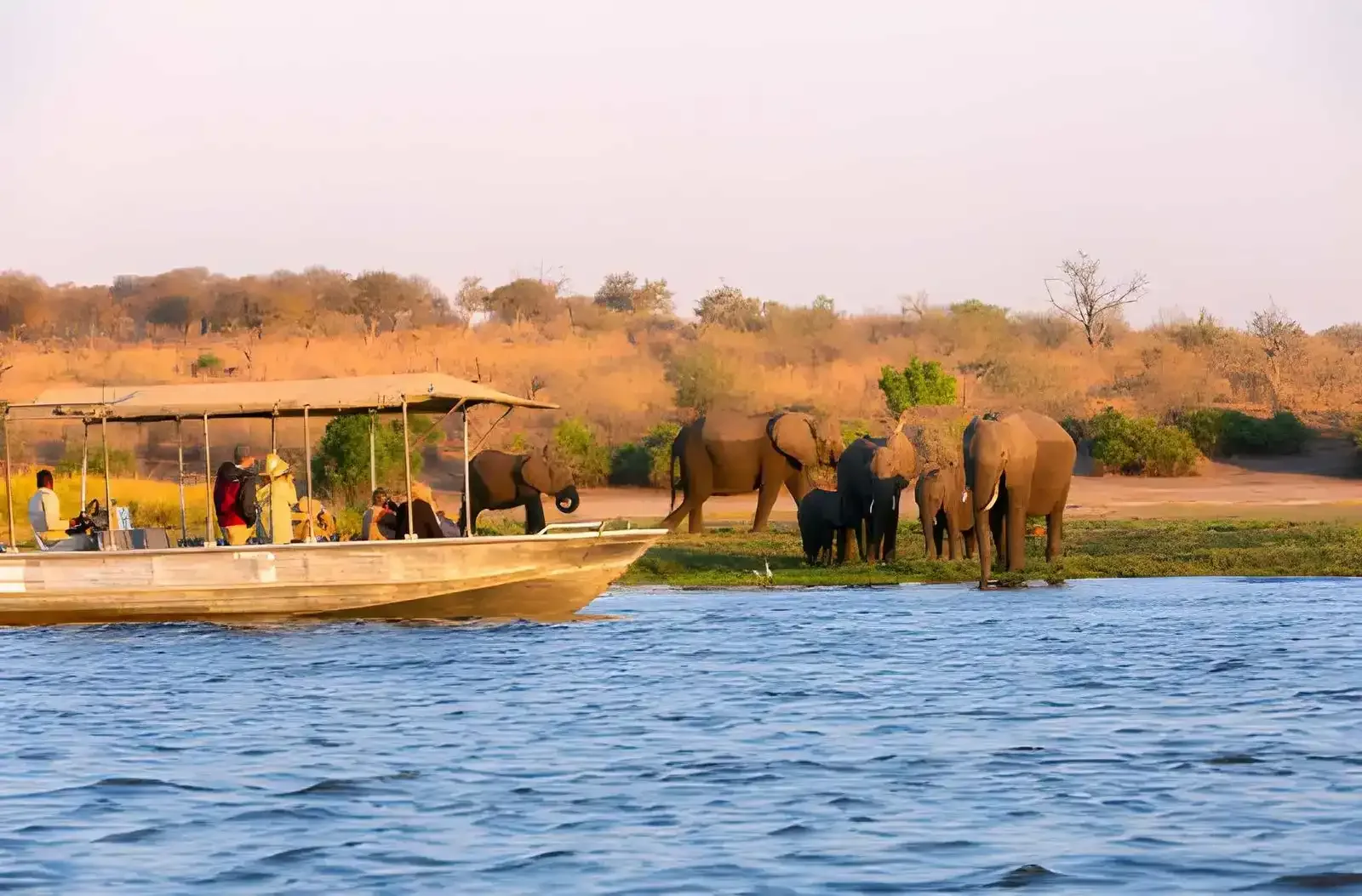 Chobe River Safari: Houseboat Cruise & Elephant Country