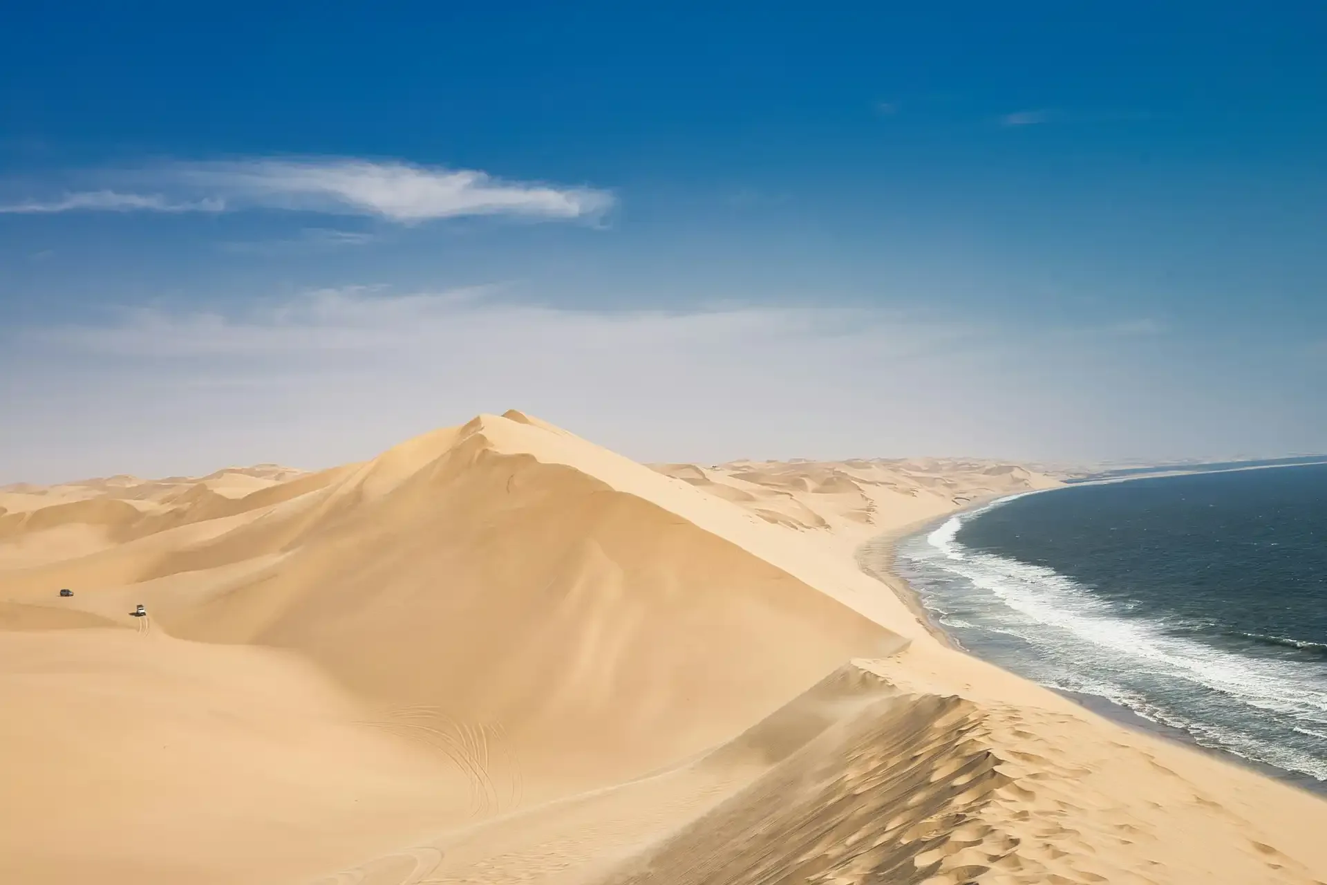 Skeleton Coast & Damaraland: Wrecks, Seals & Desert Elephants