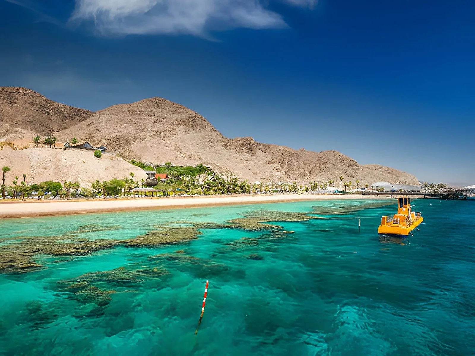 Desert Stars & Coastal Serenity: Cairo to Marassi