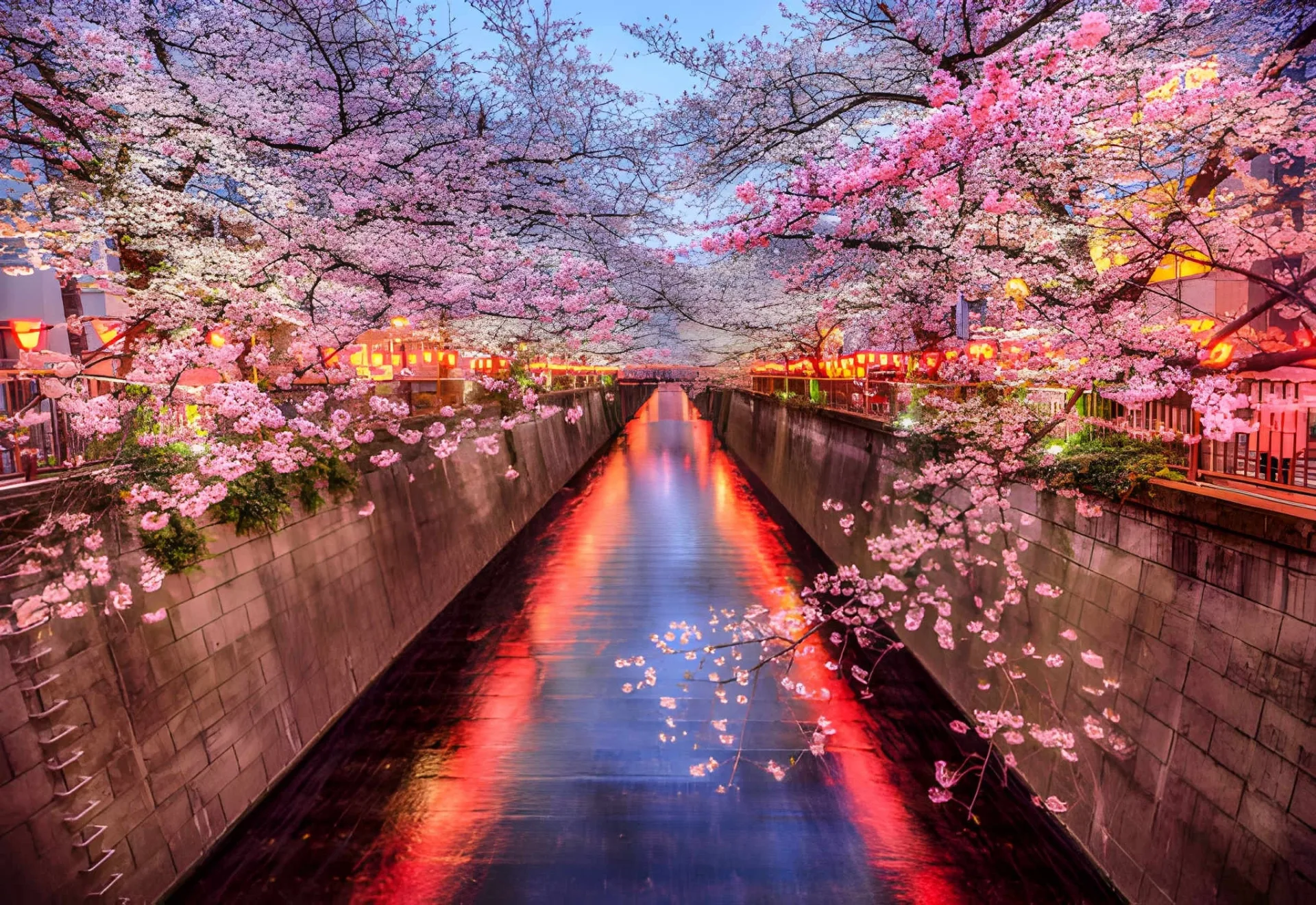 Japan in Bloom: Cherry Blossom & the Alps