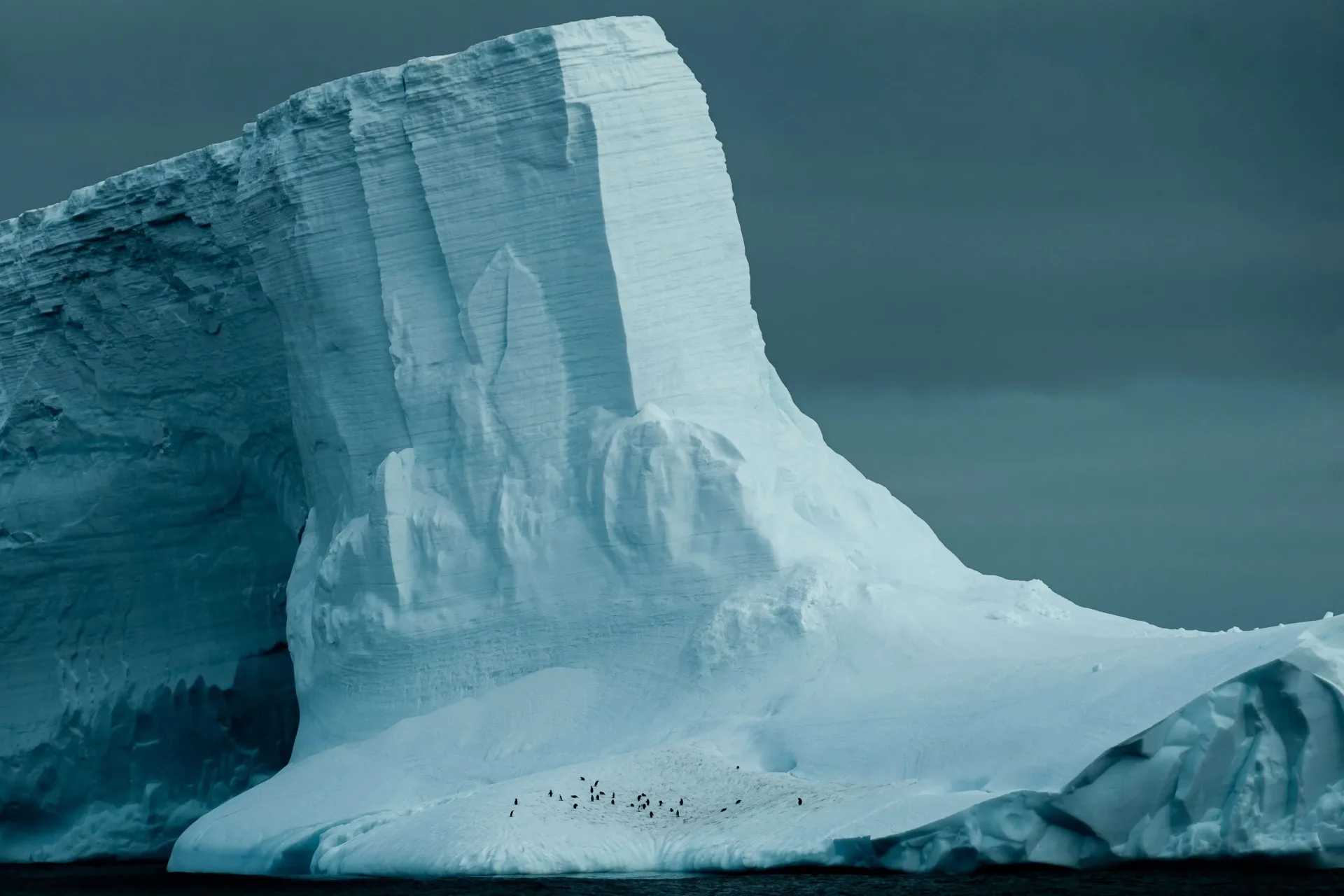 Classic Antarctic Peninsula: Penguins, Whales & Ice