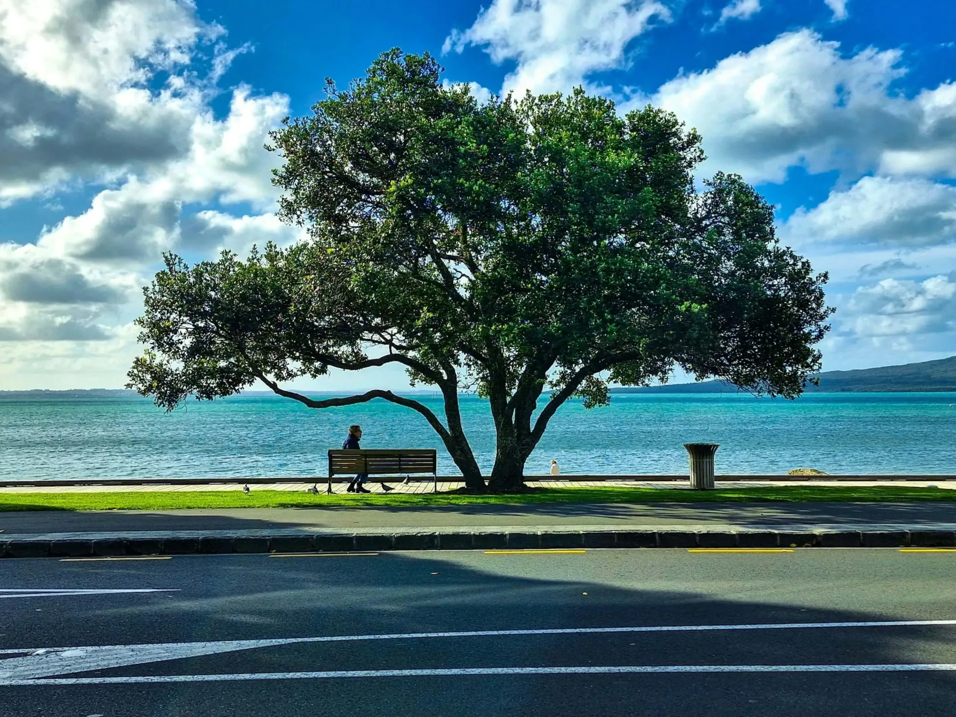 New Zealand Honeymoon