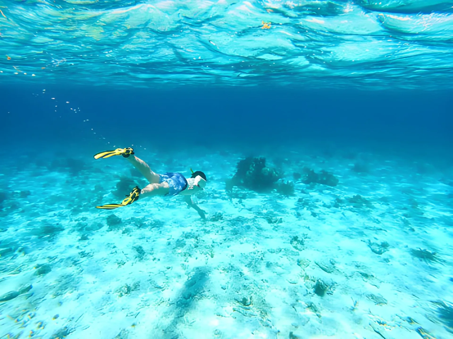 Belize Highlights: Reef & Ruins