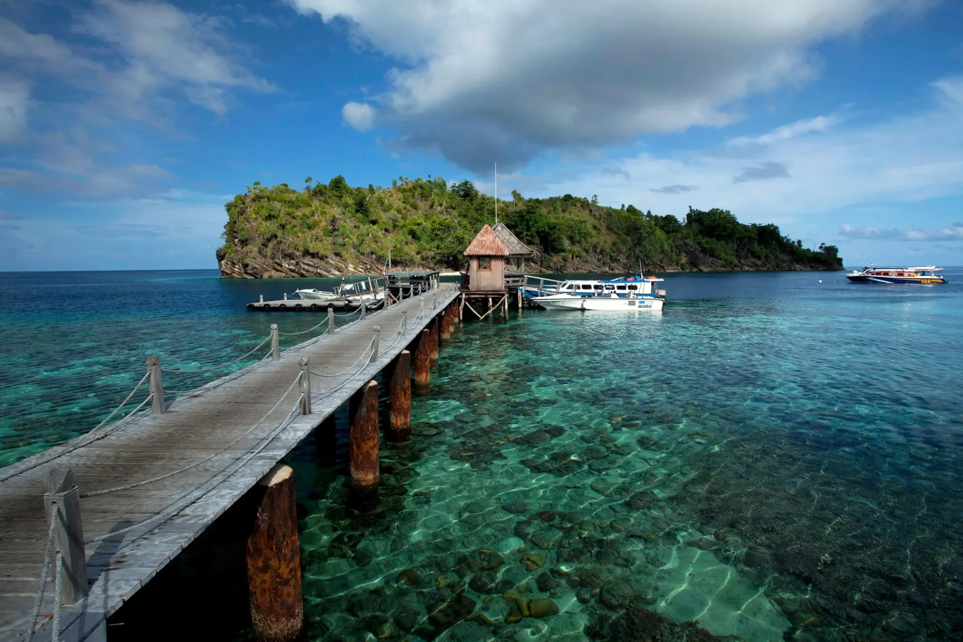 Papua New Guinea Diving: Kimbe Bay & Milne Bay