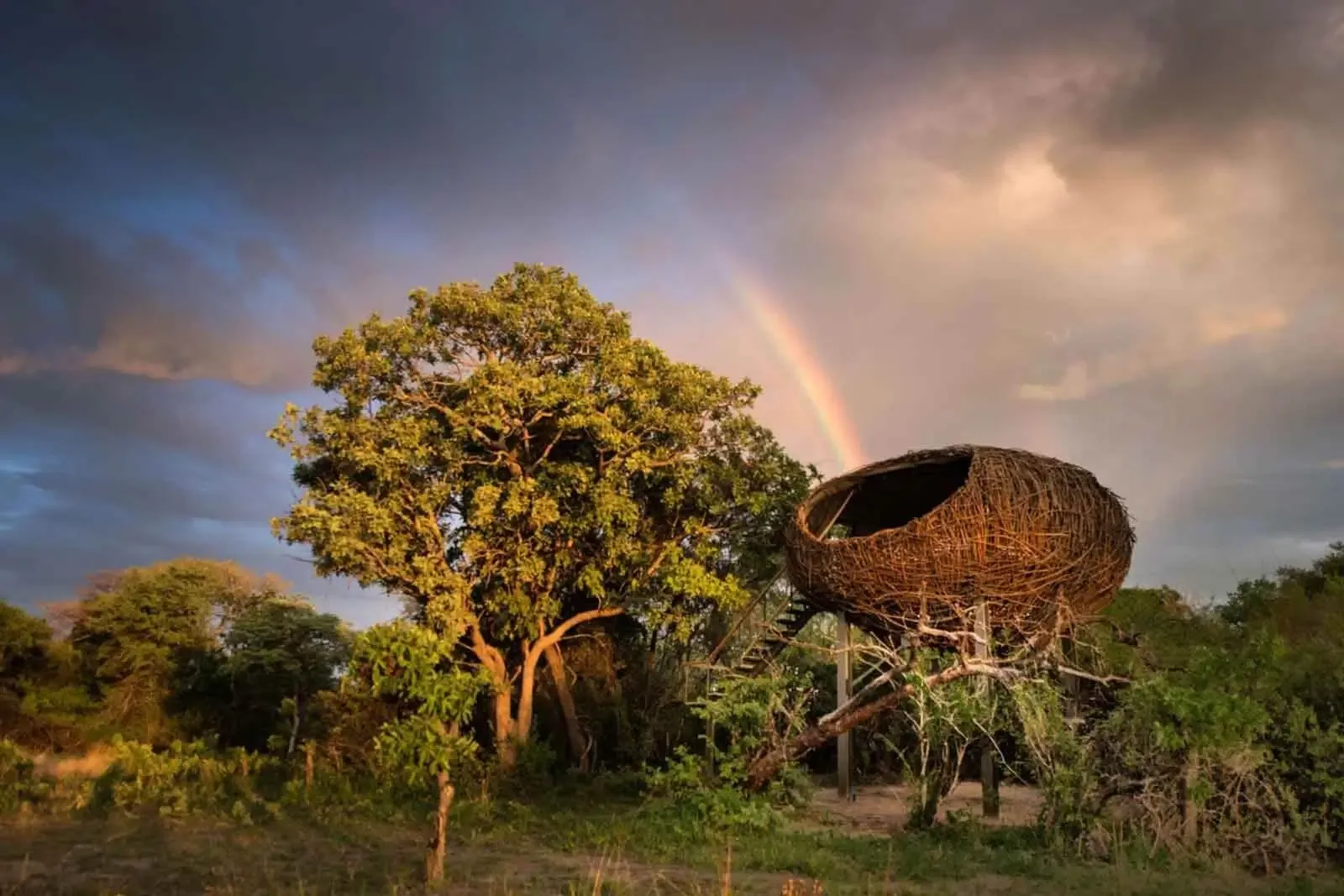 Grand Zambia Safari: Falls, Kafue, Zambezi & Luangwa